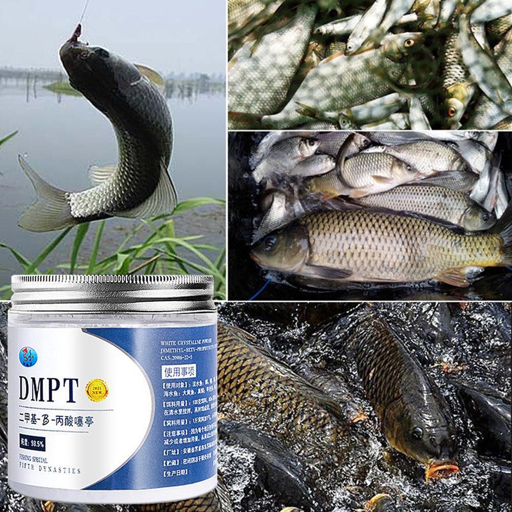50g Real DMPT High Purity Fish - огляд і ціна Fishing Equipment For Sale
