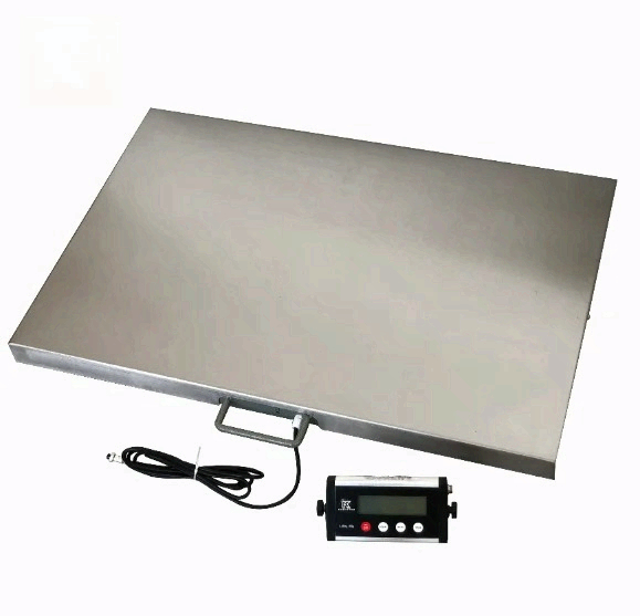 on Sale Fishing Scale Pet Scal - огляд і ціна Fishing Equipment For Sale