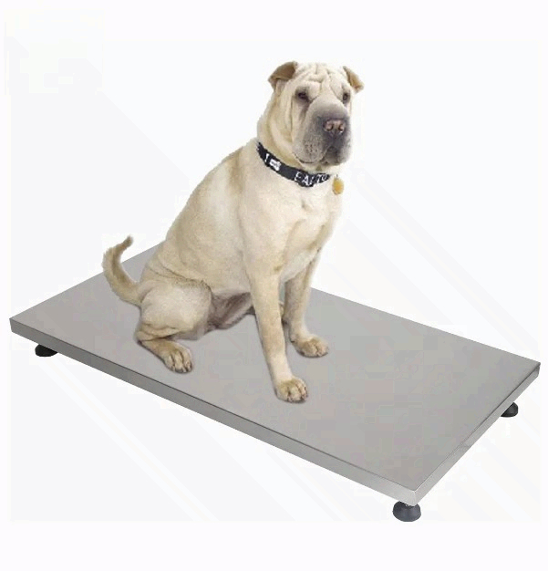 on Sale Fishing Scale Pet Scal - огляд і ціна Fishing Equipment For Sale